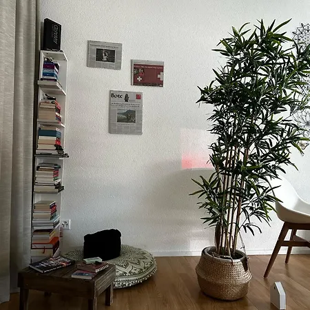 Luxus-massagepraxis Zum Uebernachten Mit Tiefgarage * Luzern